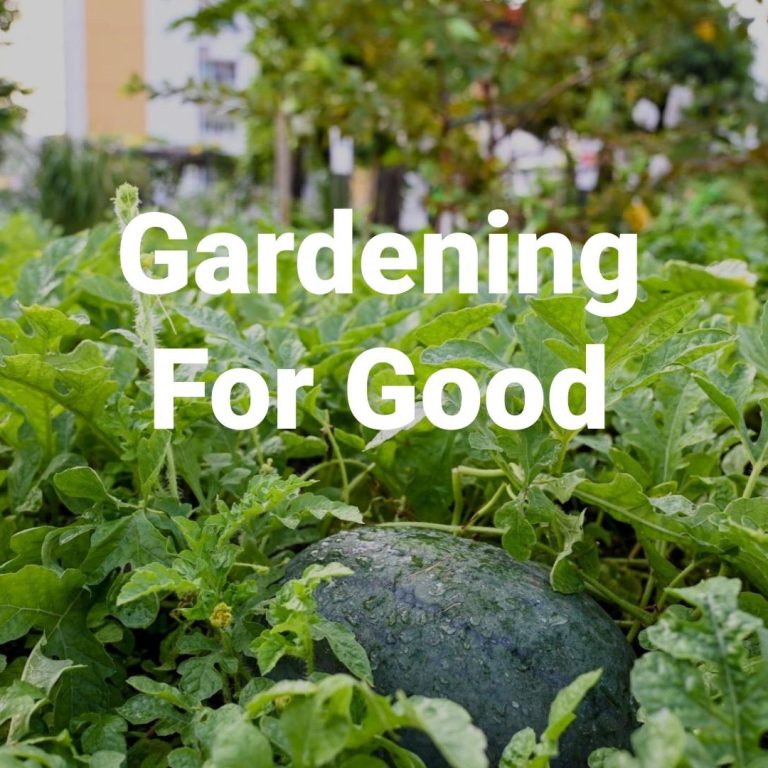 Gardening for Good: Community Gardens in the Neighbourhood