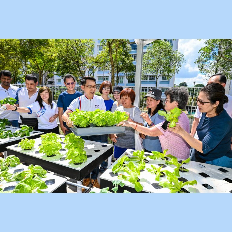 2023 Brickland Tree Planting Day