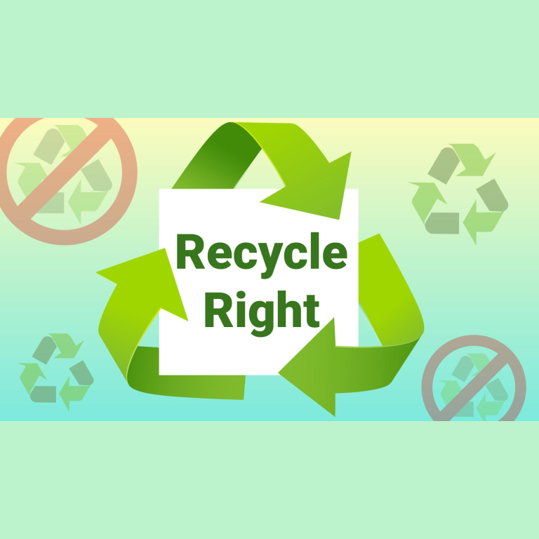 Treat the Blue Recycling Bin Right: No Mooncake Boxes Please!