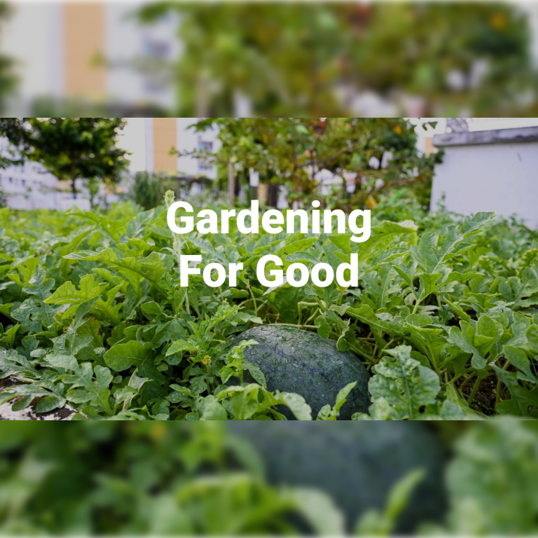 Gardening for Good: Harnessing HDB Rooftops for the Community