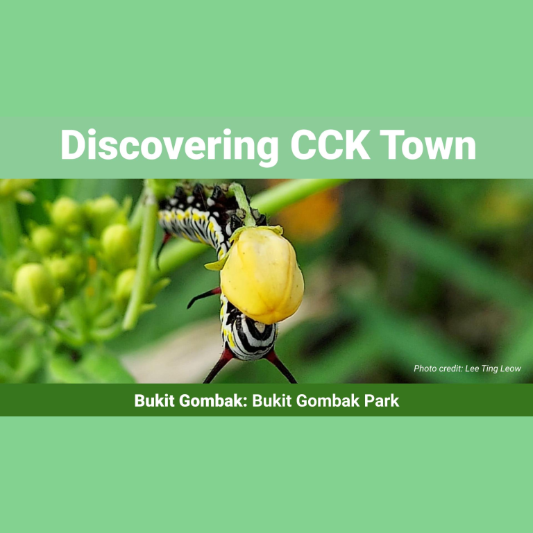 Discovering CCK Town: Green Spots for a Better Life