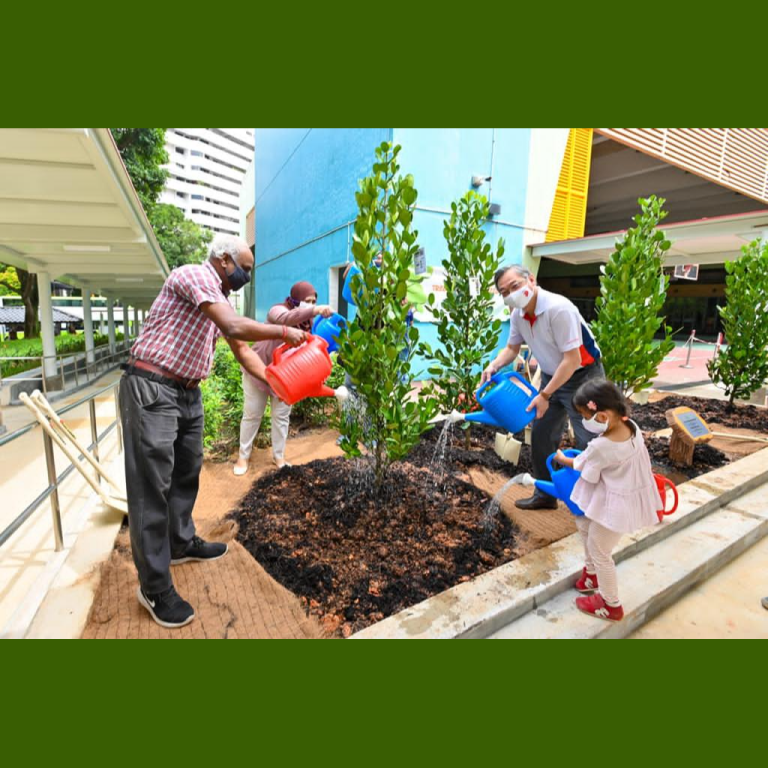 Chua Chu Kang Tree Planting 2020