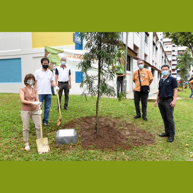 Hong Kah North Tree Planting 2020